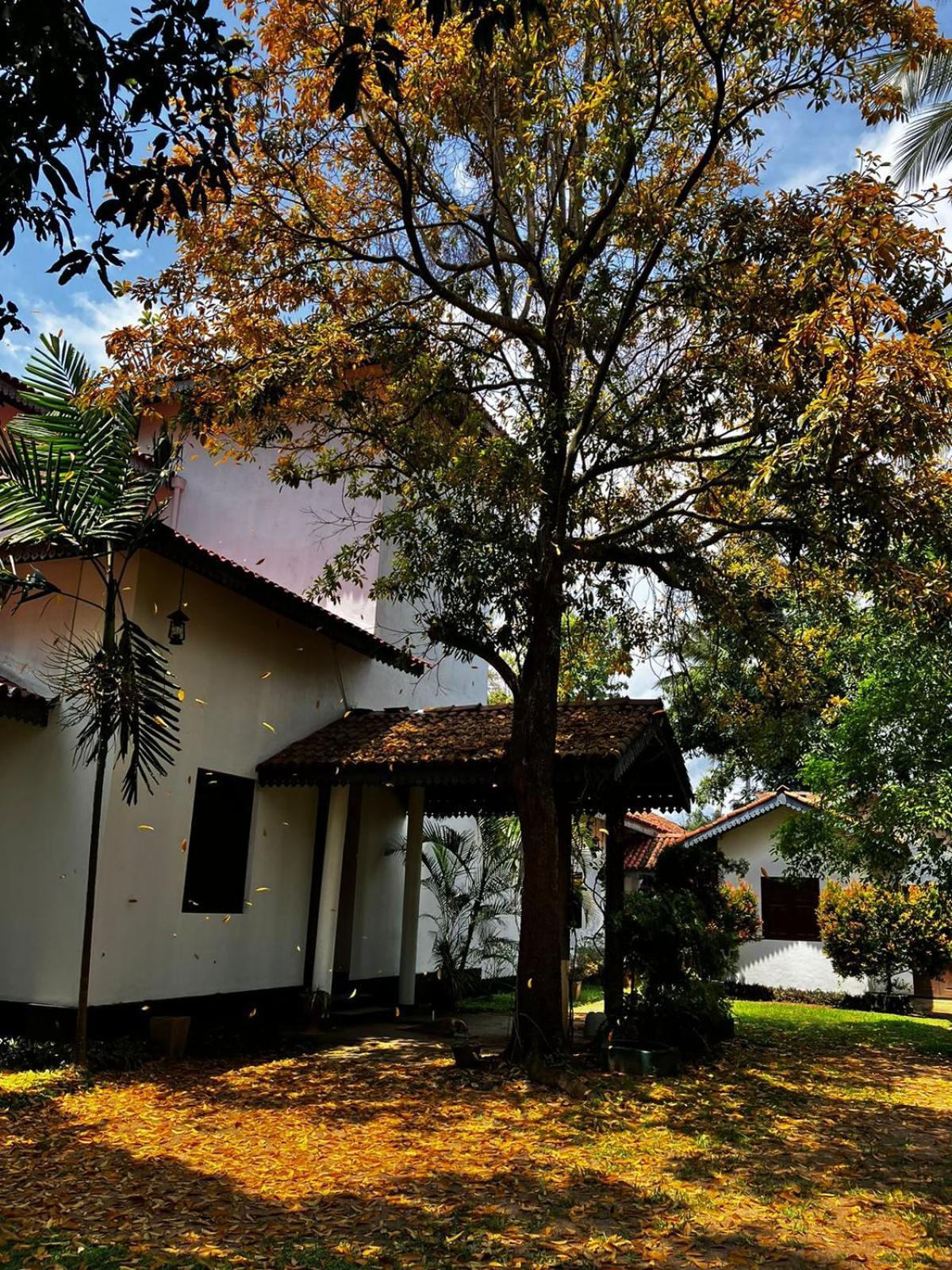 Illukawela Walauwa Hotel Embilipitiya Exterior photo